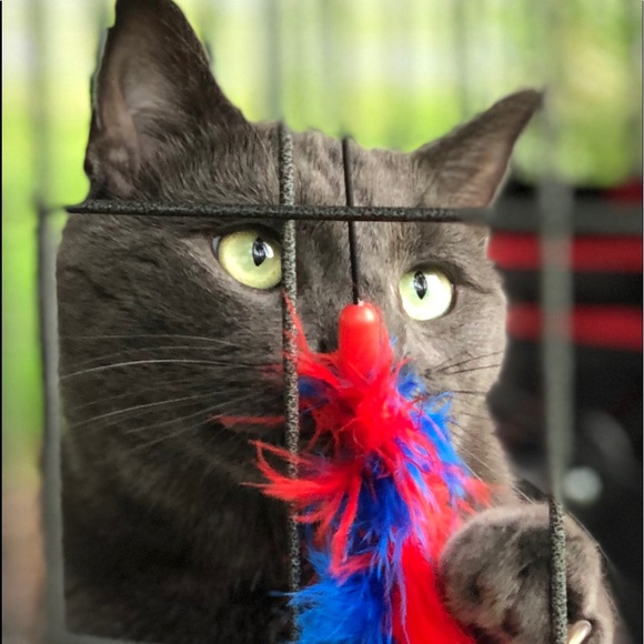 Meet your Posher, Laurie - Picture 12 of 15